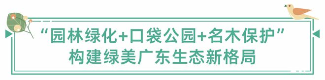 稳妥推进城市园林绿化助力绿美广东生态必一体育建设(图2)