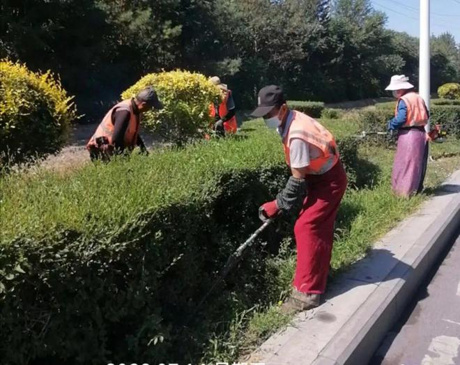 必一体育下载园林绿化强举措提质效 绿化养护当夏忙(图2)