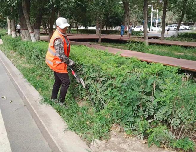 园林绿化强化绿化养护  扮必一体育下载靓城市风景(图2)