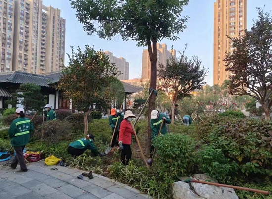 罗山县住建局园林绿化中心：秋季补植补栽 为城市增绿添彩必一体育官网下载(图3)