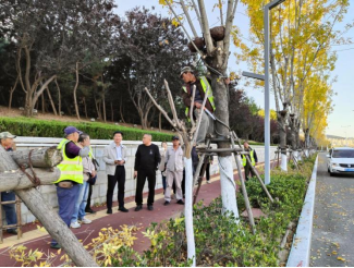 必一体育官网下载园林绿化烟台市园必一体育下载林建设养护中心多措并举做好秋季绿化养护工作(图1)