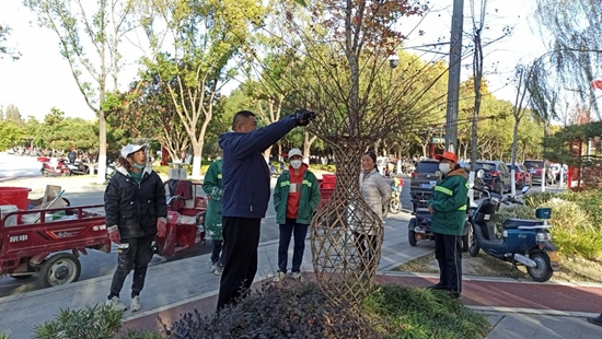 必一体育下载罗山县园林绿化中心：精细管理促提升 冬季园林养护正当时(图2)