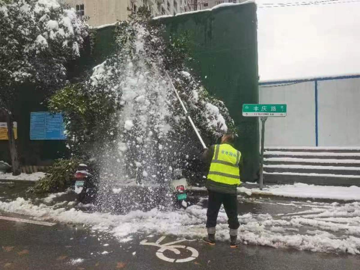 郑州金水区市政绿化所为园林绿化树穿上“冬衣”防寒保暖必一体育下载(图3)