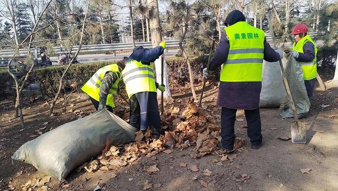 必一体育官网下载园林绿化聚焦精致园林兰山园必一体育下载林着力提升绿化品质(图1)