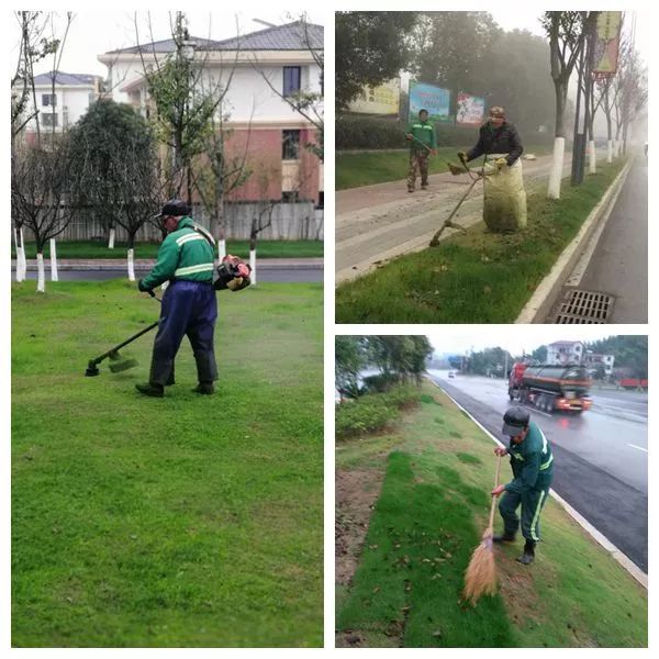 必一体育做好城市园林绿化 促进文明城市创建(图2)