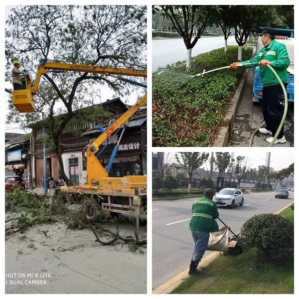 必一体育做好城市园林绿化 促进文明城市创建(图4)