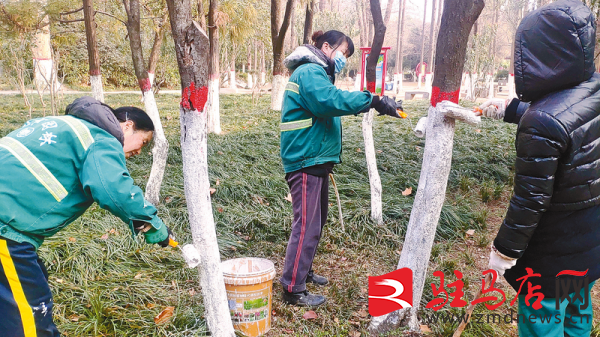 园林绿化养护好 苗木穿上“保暖衣”必一体育下载(图1)