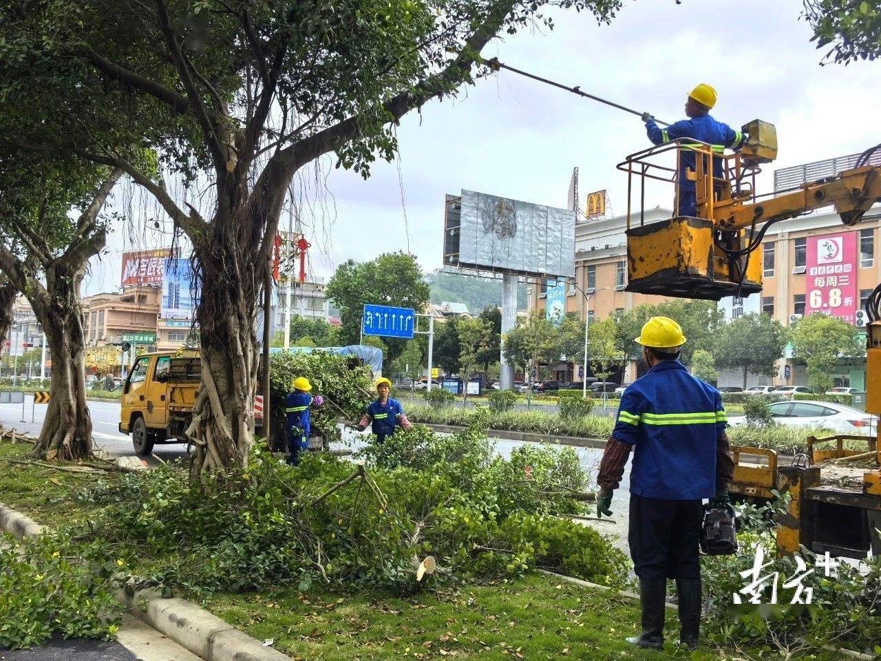 必一体育下载必一体育官网下载园林绿化增植绿化约2900株阳春提升城市品质(图1)