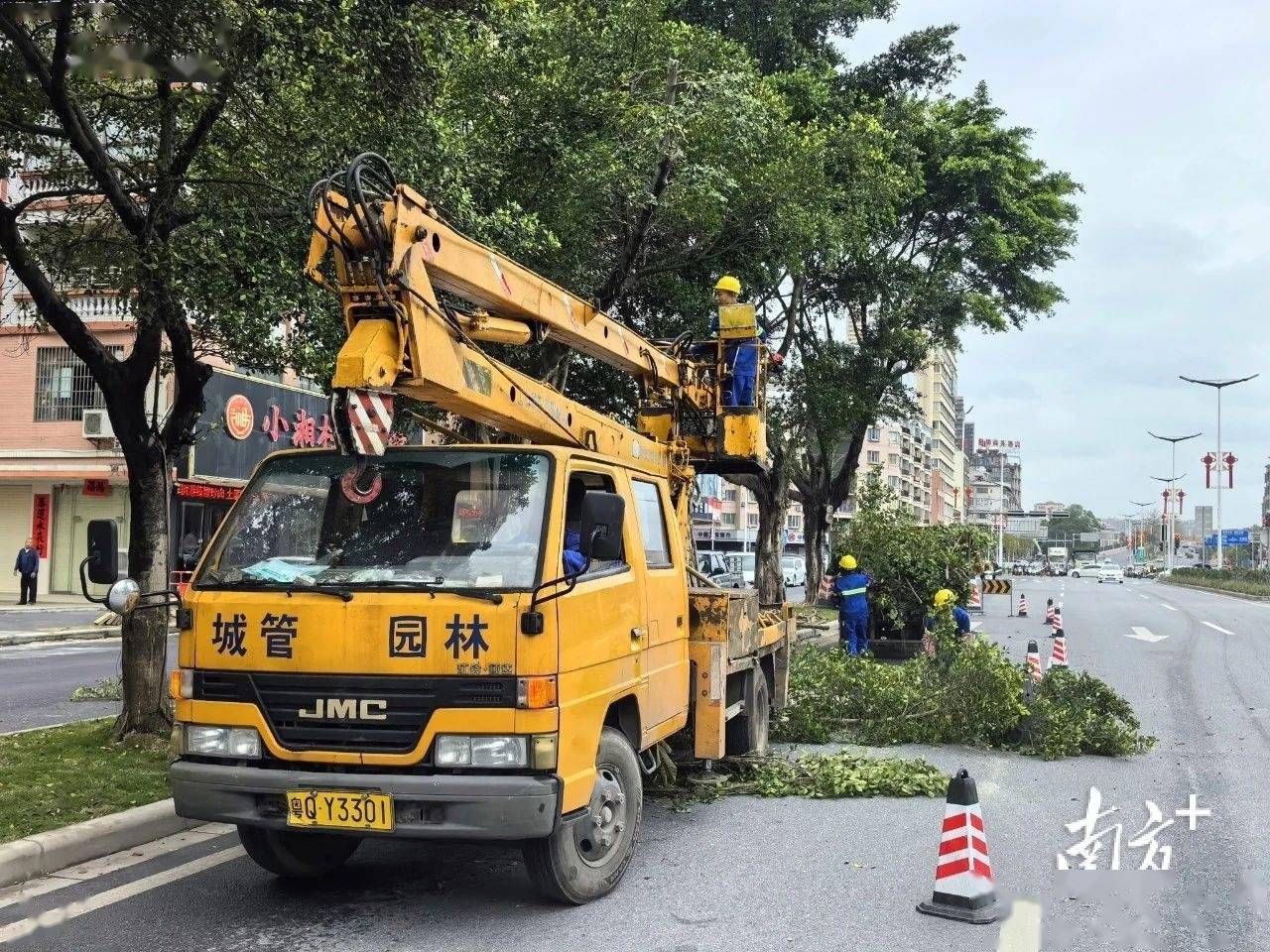 必一体育下载必一体育官网下载园林绿化增植绿化约2900株阳春提升城市品质(图2)