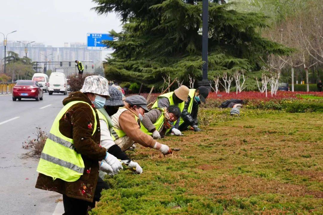 必一体育官网下载示范区城园林绿化管局园林处：“增绿添园”扮靓城市容颜(图2)