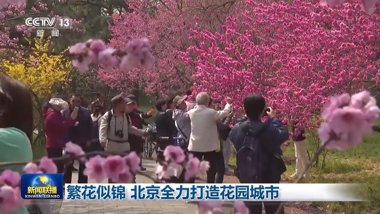 必一体育园林绿化北京各类公园突破千个 满城春花让市民乐享自然之美(图1)