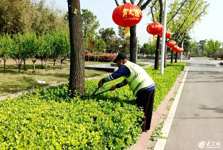 必一体育官网下载临沭县加强园林绿化养护提升城市精细化管理工作水必一体育下载平(图3)