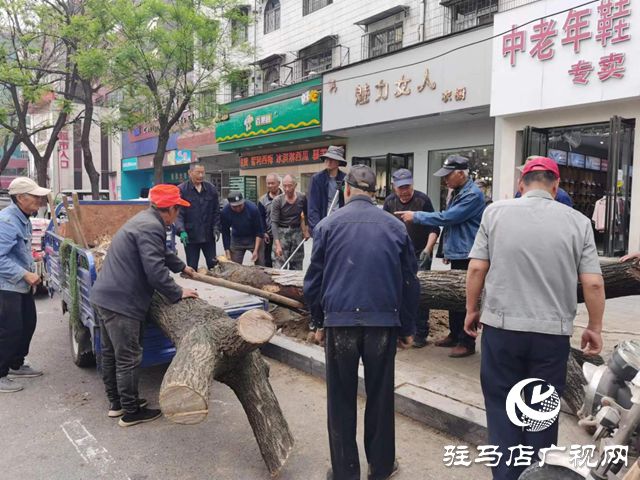 必一体育下载驻马店市园林绿化处开展死树枯枝集中清理行动(图2)