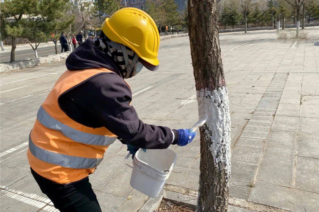 必一体育下载不负春季好时光 园林绿化养护忙(图3)